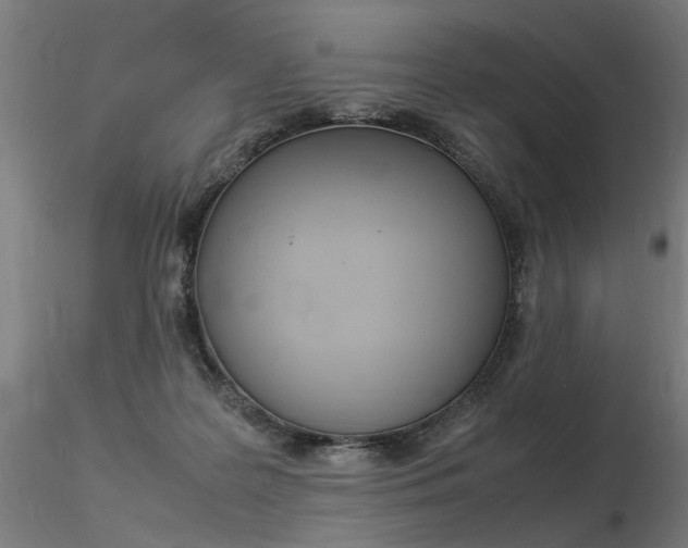 X0000116370219200912021017