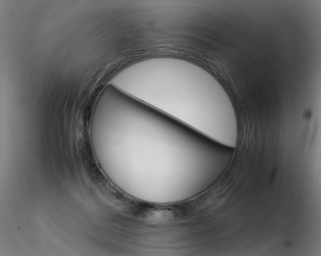 X0000116370220200912021017
