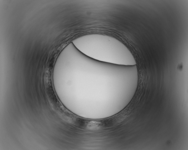 X0000116370222200912021017