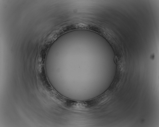 X0000116370223200912021017