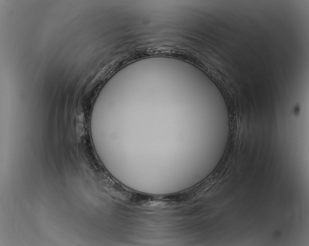 X0000116370224200912021017