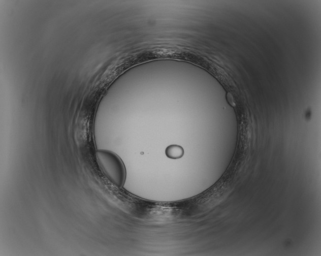 X0000116370227200912021017
