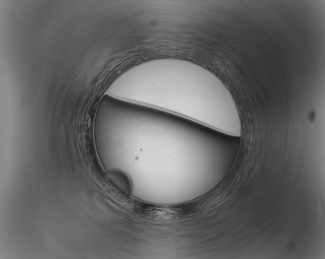X0000116370229200912021017