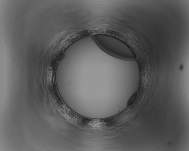 X0000116370231200912021017
