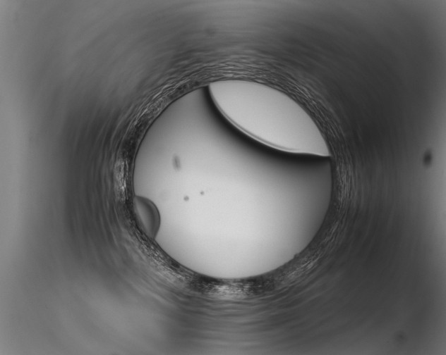 X0000116370232200912021017