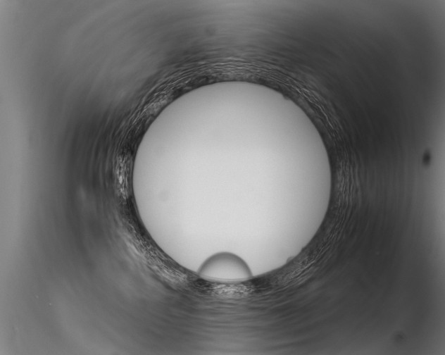 X0000116370234200912021017