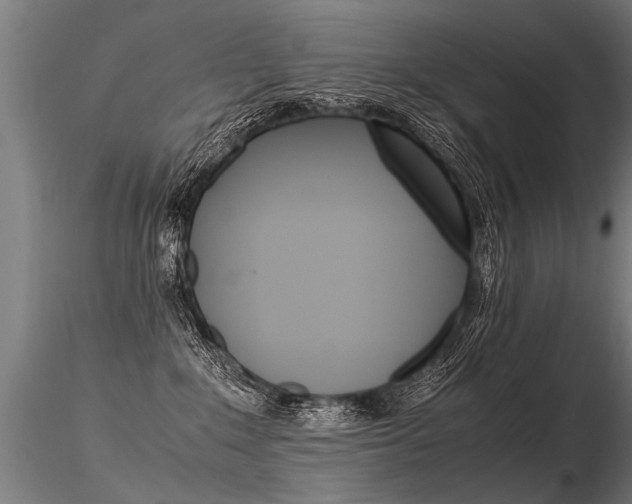 X0000116370235200912021017