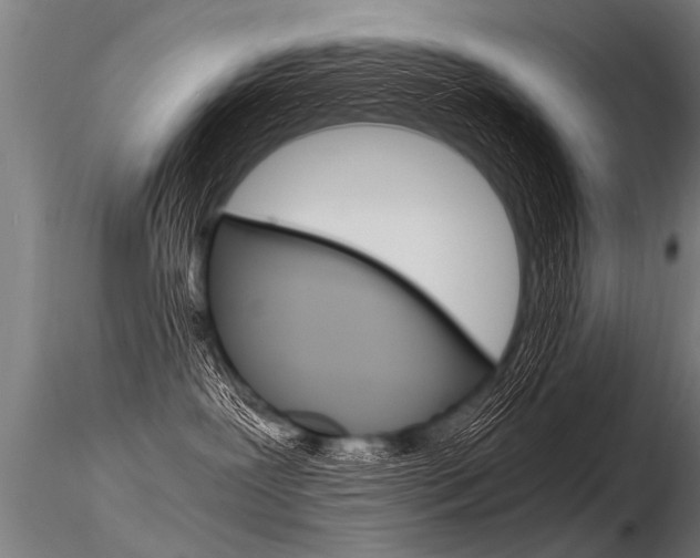 X0000116370239200912021017