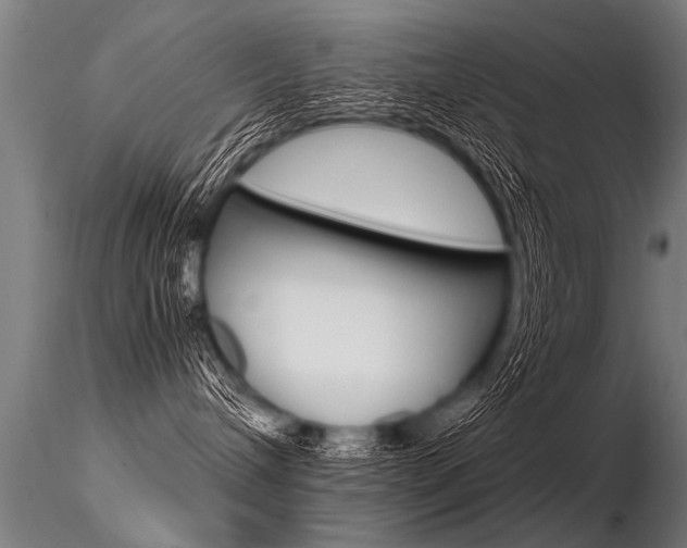 X0000116370240200912021017