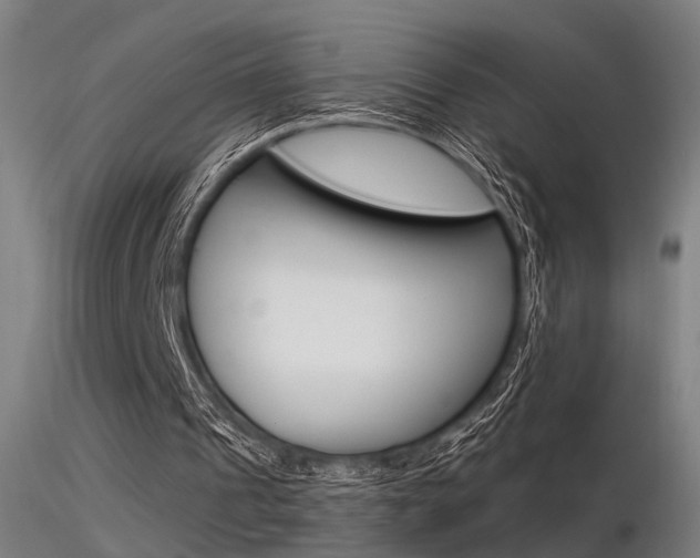 X0000116370241200912021016