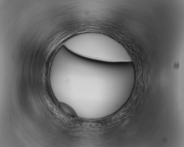 X0000116370242200912021016