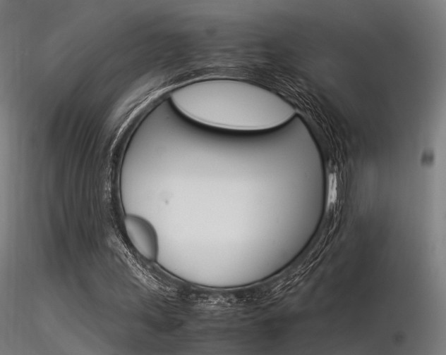 X0000116370243200912021016