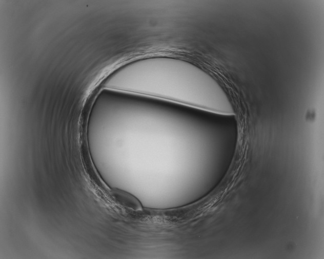 X0000116370244200912021016
