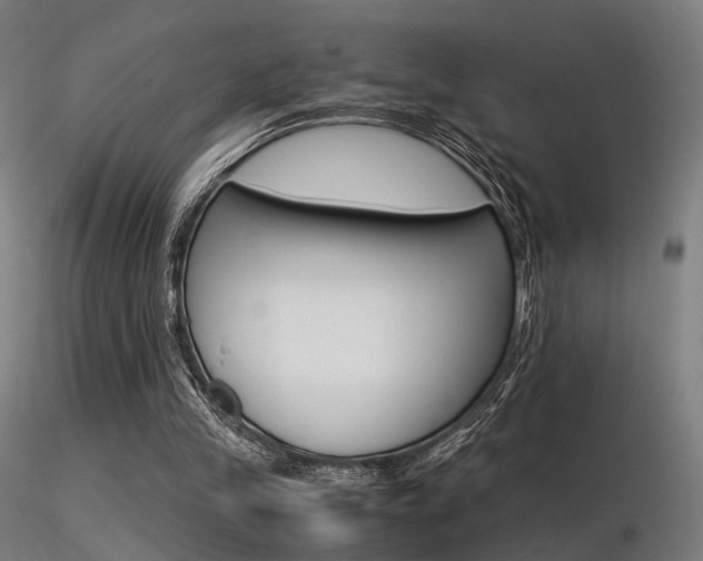 X0000116370245200912021017