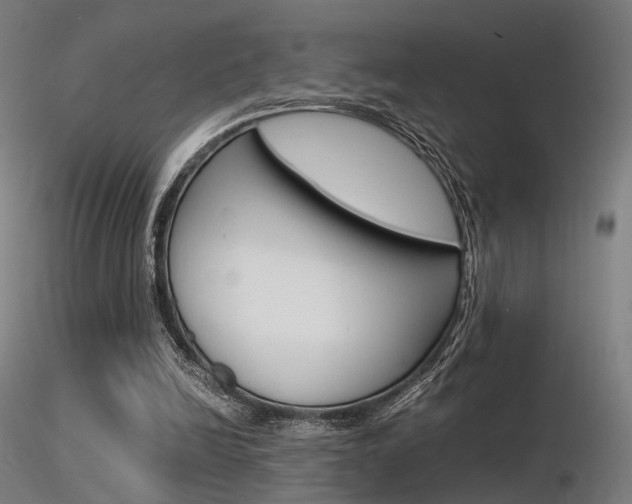 X0000116370246200912021017