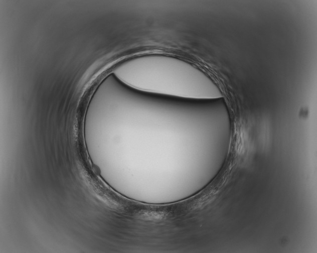 X0000116370247200912021017