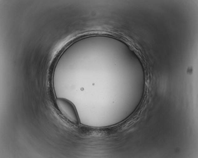 X0000116370248200912021017