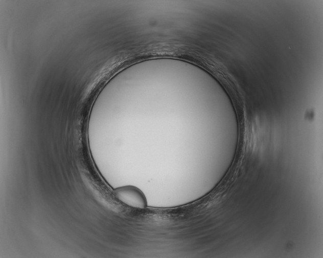 X0000116370250200912021017