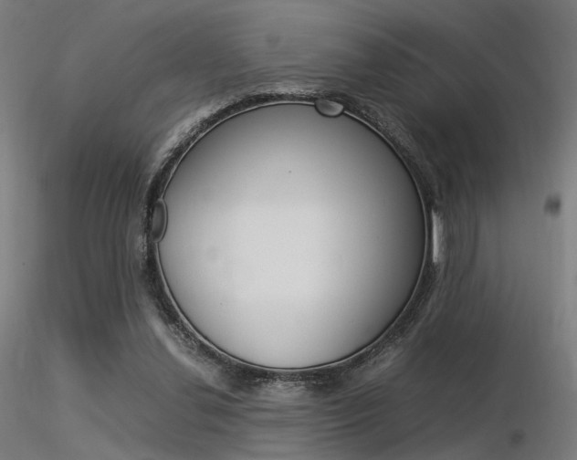 X0000116370252200912021017