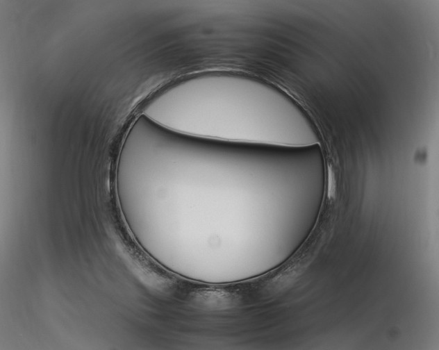 X0000116370253200912021017