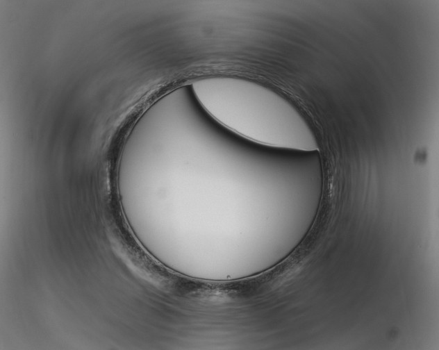X0000116370254200912021017