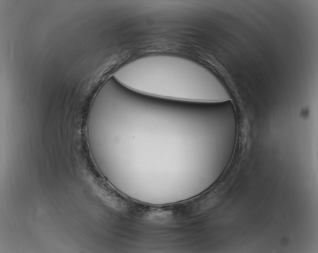 X0000116370257200912021017