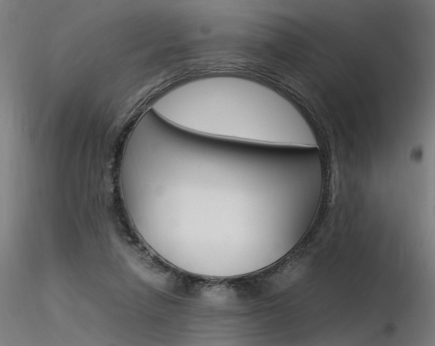 X0000116370258200912021017