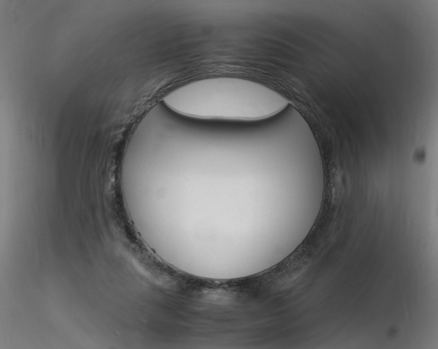 X0000116370259200912021017