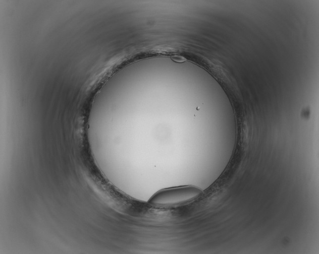 X0000116370260200912021017