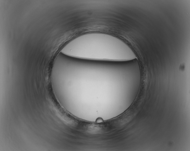 X0000116370261200912021017
