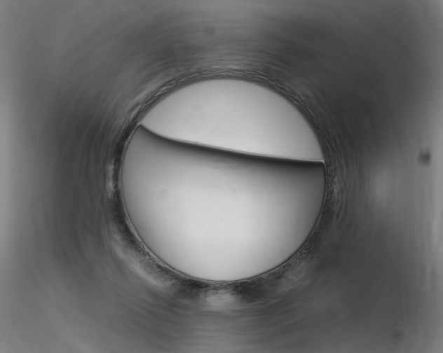 X0000116370262200912021017