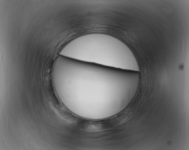 X0000116370263200912021017