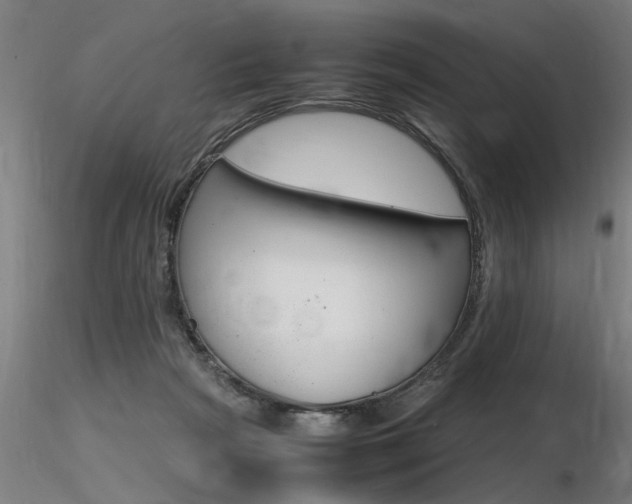 X0000116370265200912021017