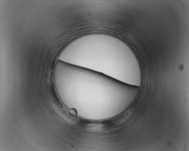 X0000116370266200912021017