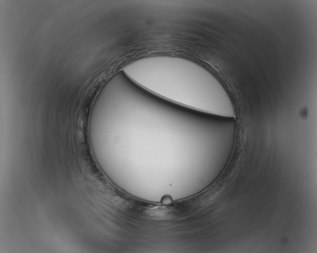 X0000116370269200912021017