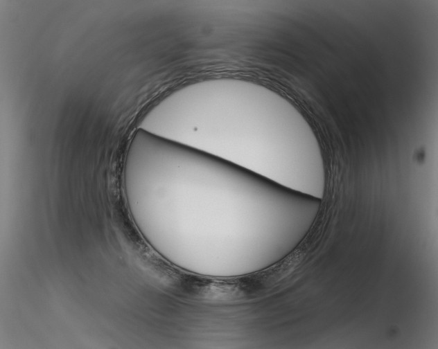 X0000116370270200912021017