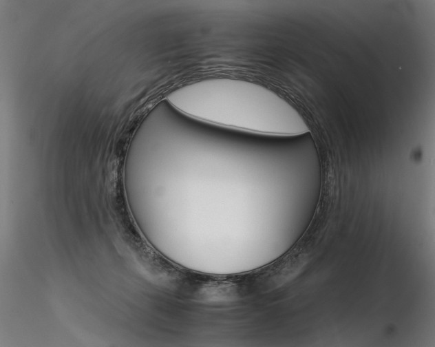 X0000116370271200912021017