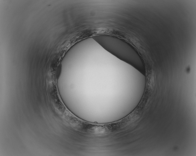 X0000116370272200912021017