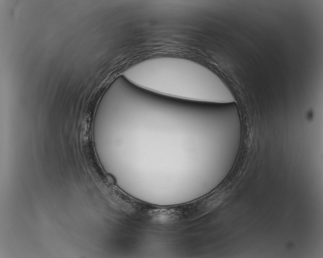 X0000116370273200912021017