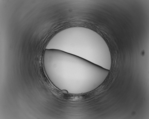 X0000116370274200912021017