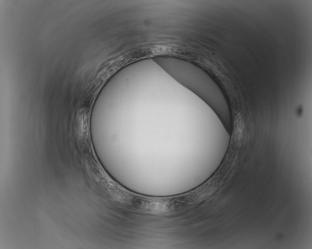 X0000116370276200912021017