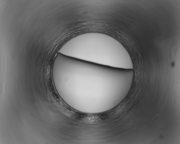 X0000116370278200912021017