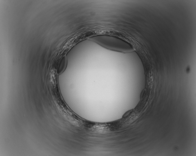X0000116370280200912021017