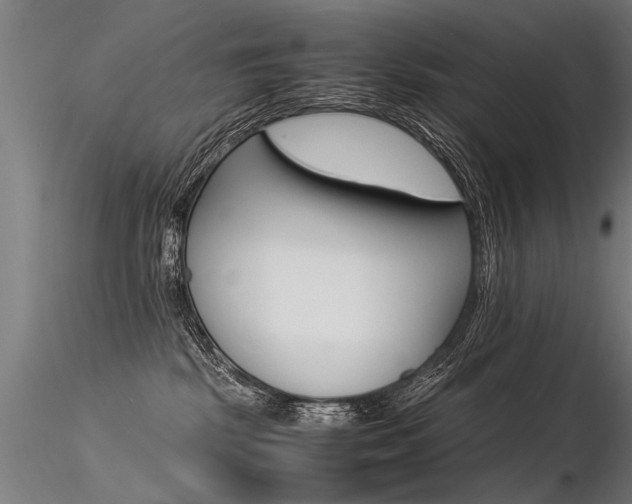 X0000116370281200912021017