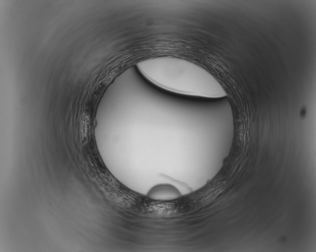 X0000116370283200912021017