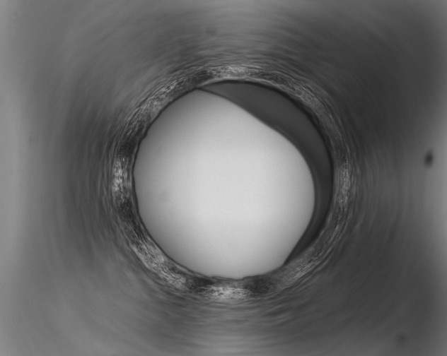 X0000116370284200912021017