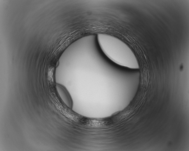 X0000116370286200912021017