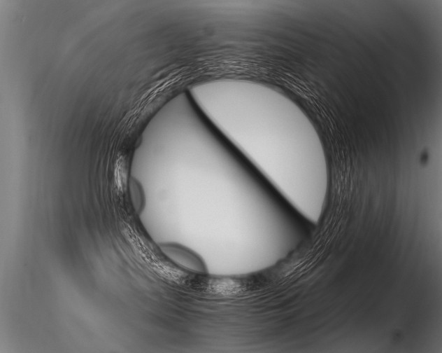 X0000116370287200912021017