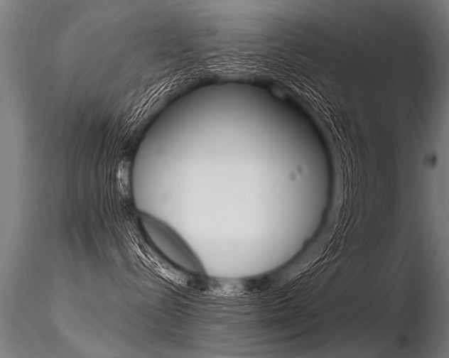 X0000116370288200912021017