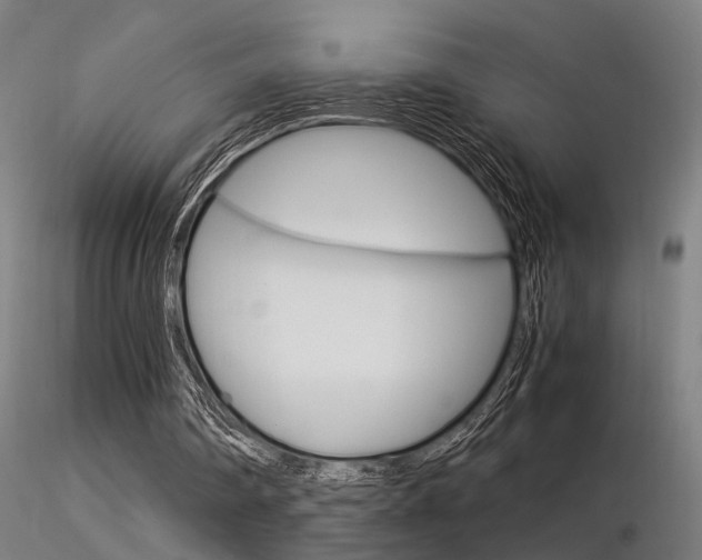 X0000116370290200912021016